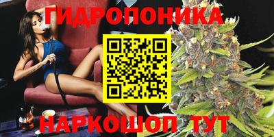 первитин Гусев